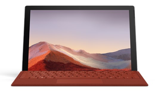 镇康清洁和维护 Surface